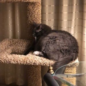 Meet your Posher, Kristin